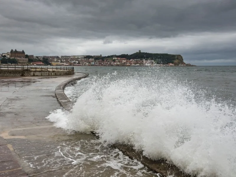 Seawall Repair (4)