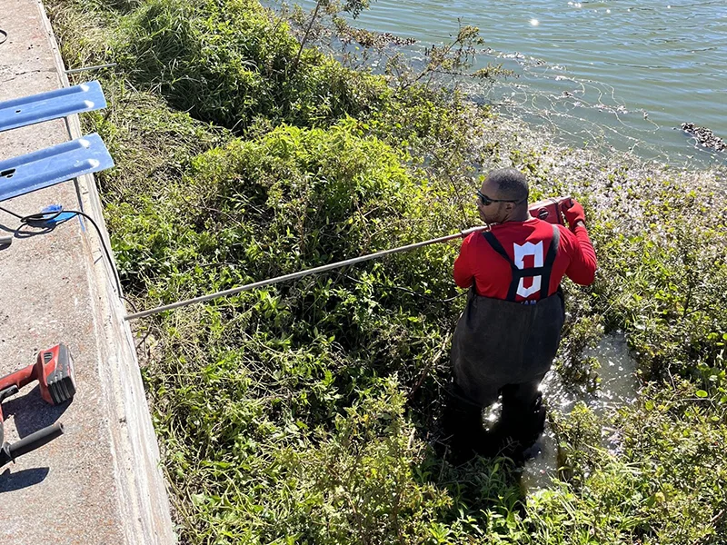 Seawall Repair (5)